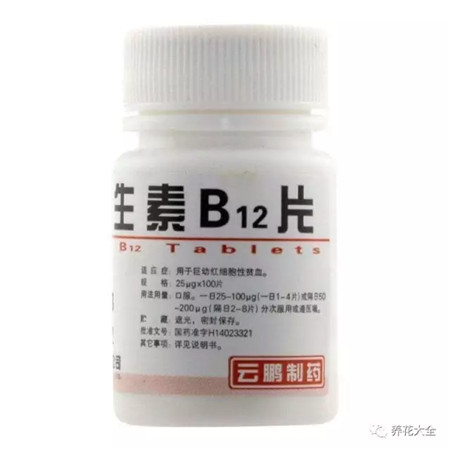 维生素B12