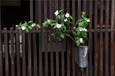 铁皮花器