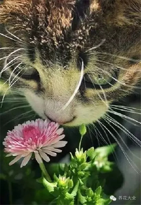 没有女朋友好伤心~找花花解闷去！