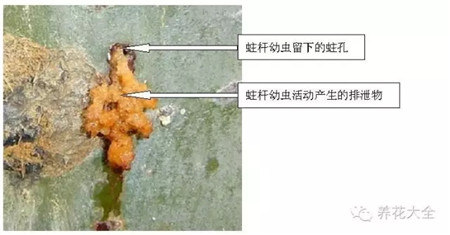 查排泄物与分泌物